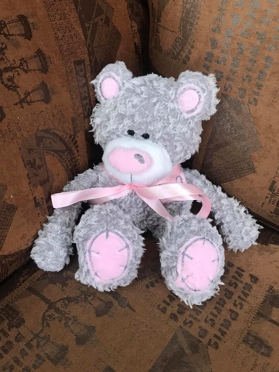 tiny tatty teddy pregnancy journal